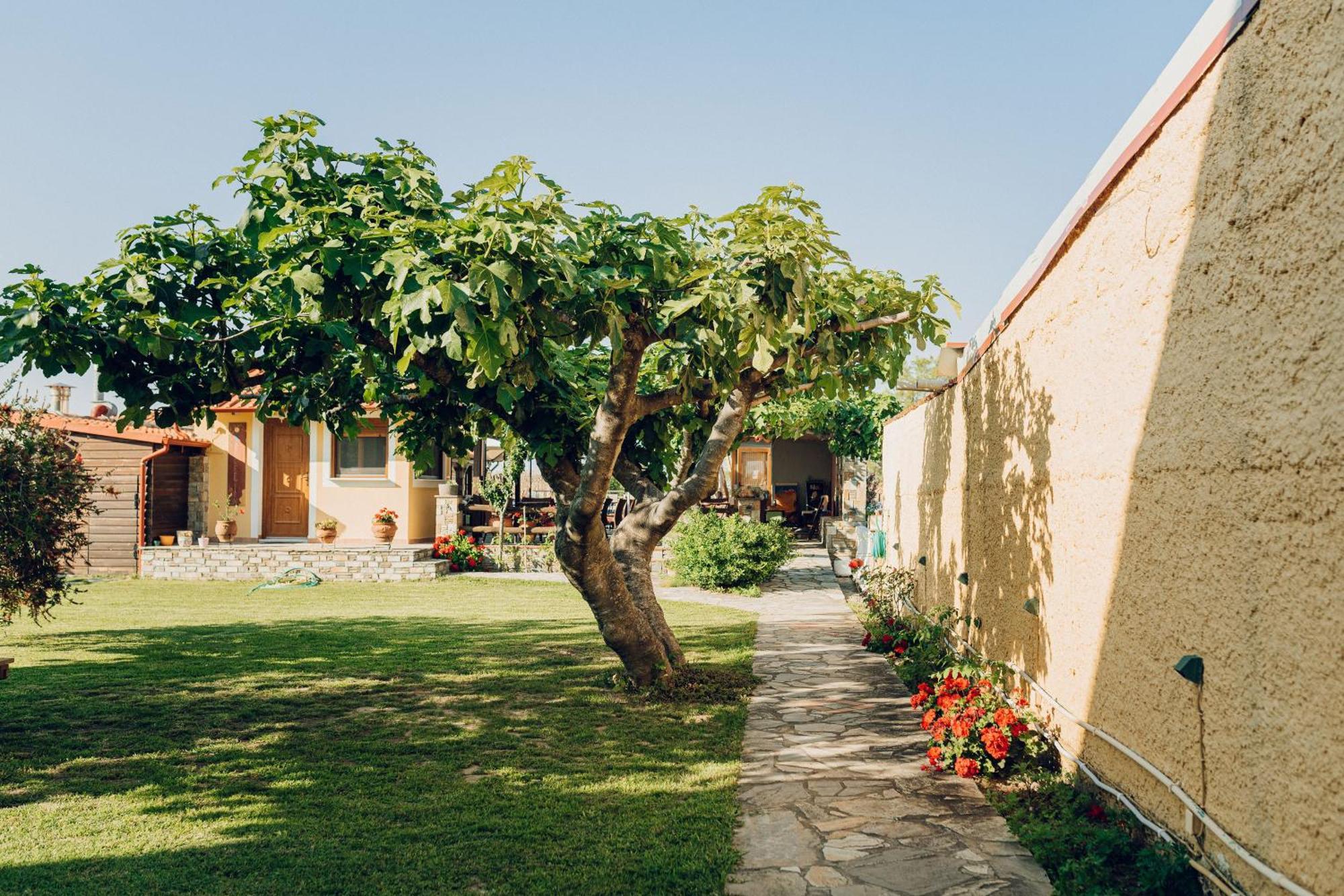 Villa Yianna Nea Mesagkala Exterior photo